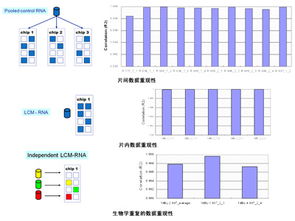 上海伯豪生物技術 SBC miRNA芯片服務促銷行動與全方位實驗技術解決方案